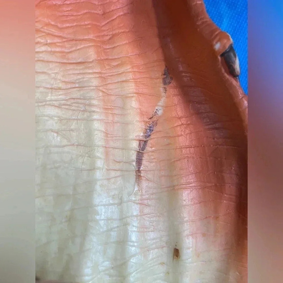 Star Wars - Jar Jar Binks - Talking Wake Up Alarm Plush - Thinkway - 22" Tall - Picture 3 of 10